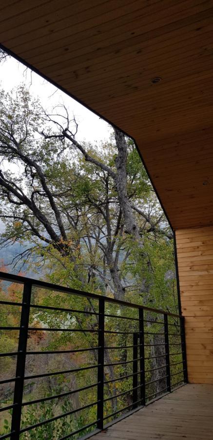 Vivelodge Las Trancas Exterior photo