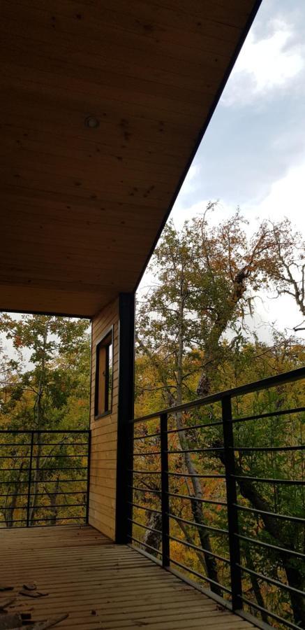 Vivelodge Las Trancas Exterior photo